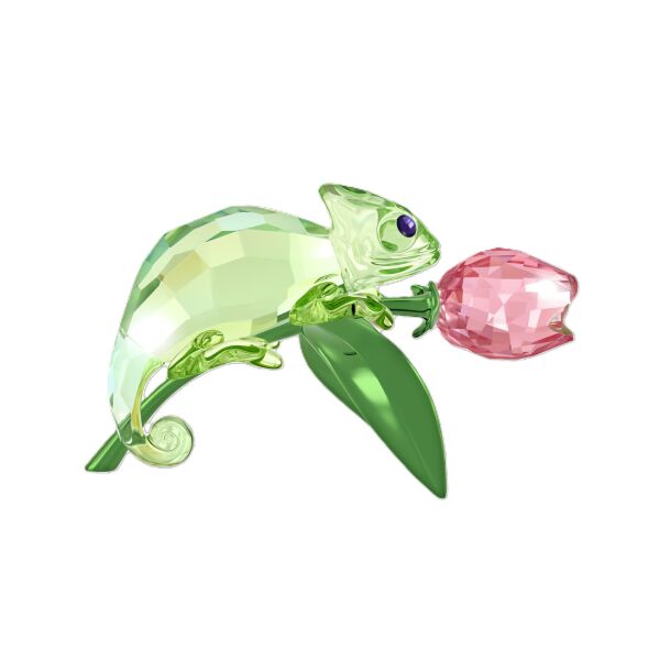 Idyllia Bukalemun ve Pembe Lale