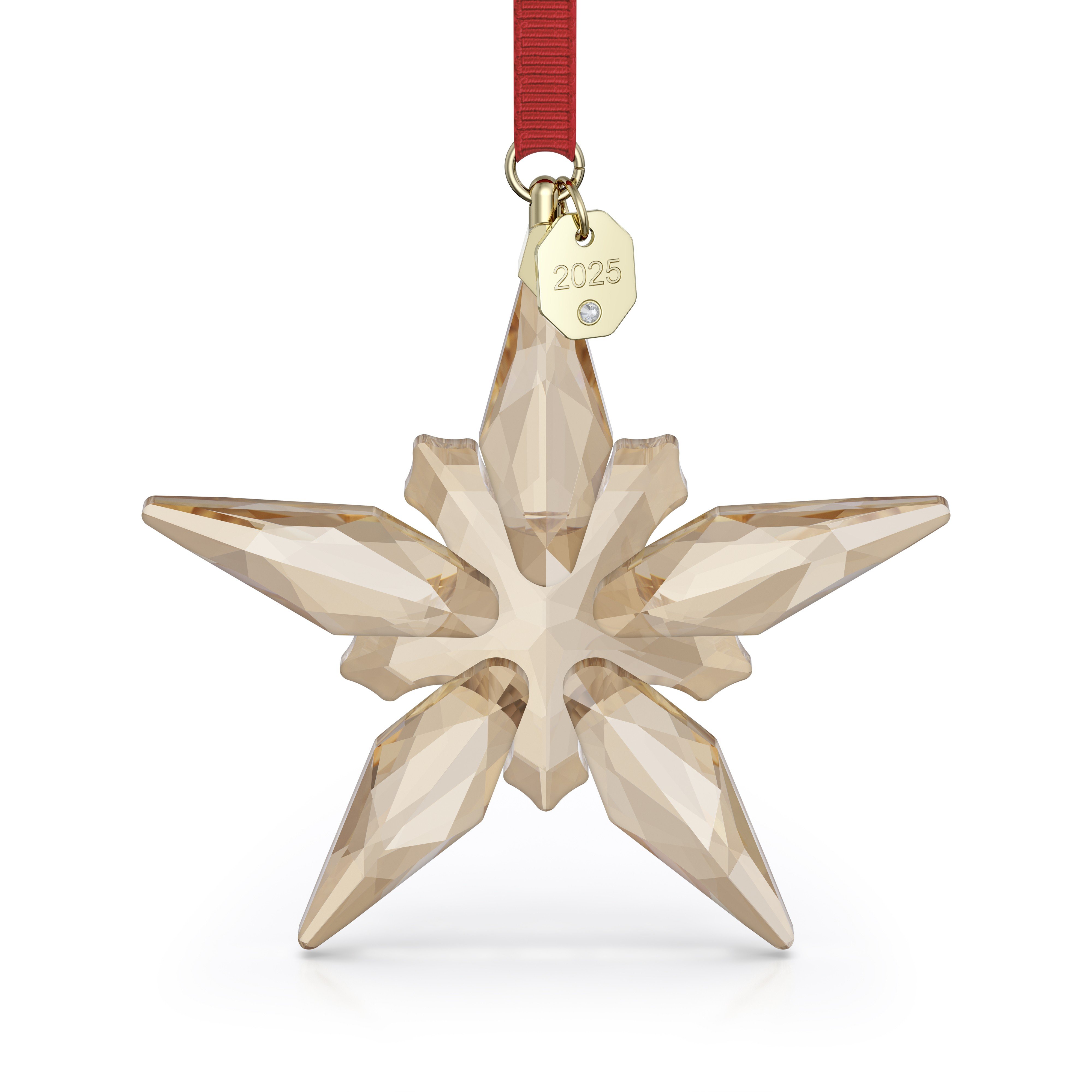 Annual Edition Festive Süs 2025