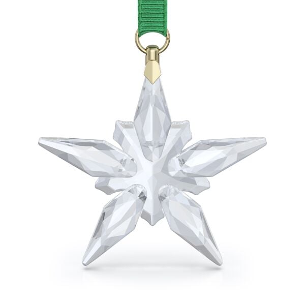 Annual Edition Little Star Süs 2025