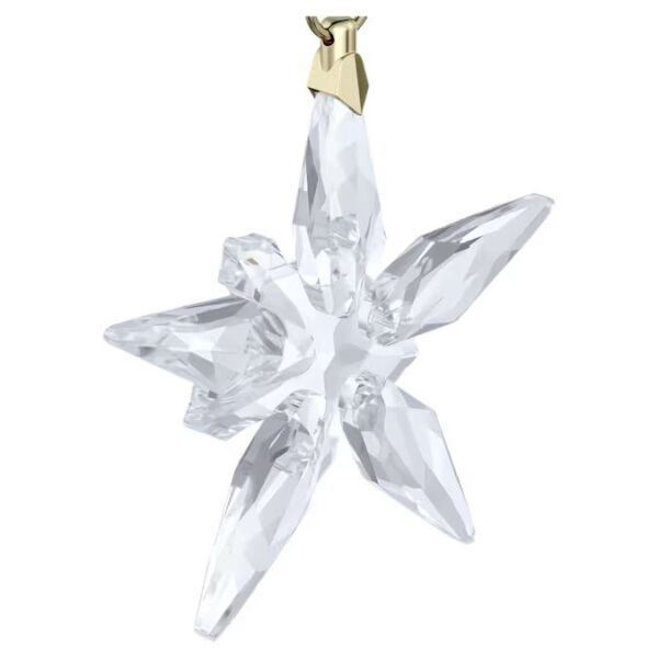 Annual Edition Little Star Süs 2025