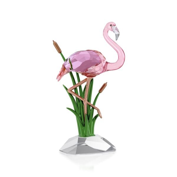 Idyllia Flamingo