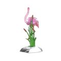 Idyllia Flamingo