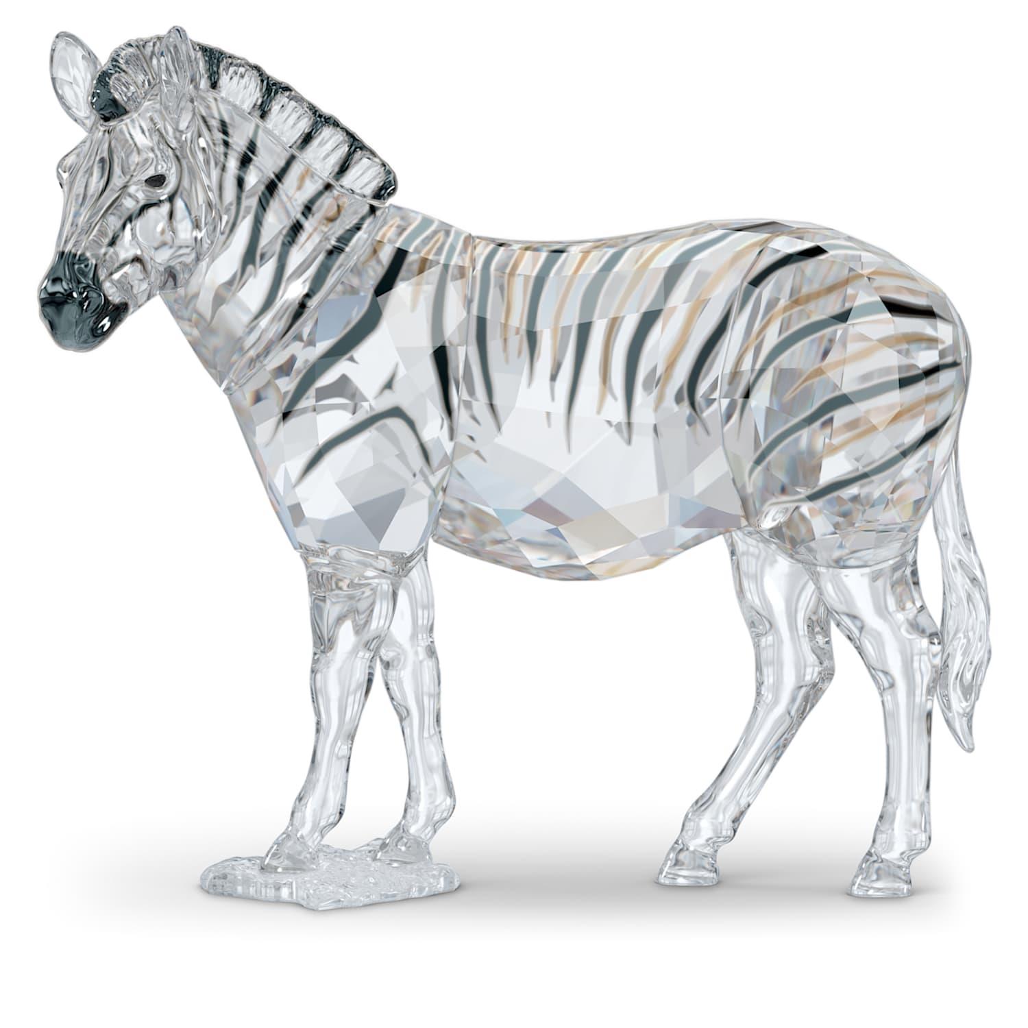 Elegance of Africa SCS Yıllık Özel Üretim 2021 Zebra Amai