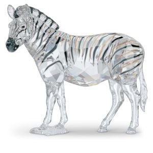 Elegance of Africa SCS Yıllık Özel Üretim 2021 Zebra Amai