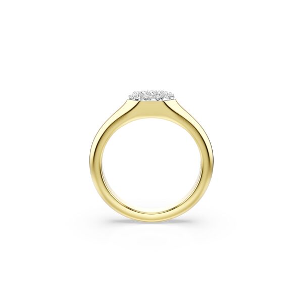 Dextera Yüzük, Karışık kesimler, Beyaz, Altın rengi kaplama 46