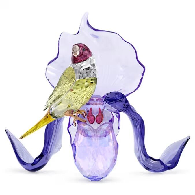 Idyllia Gökkuşağı İspinozu ve Orkide